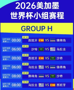 雷速体育APP比分界面